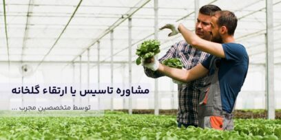 مشاوره، احداث و راه اندازی گلخانه در ایران