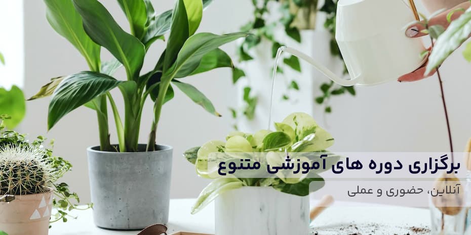 سایت گلخانه ایران