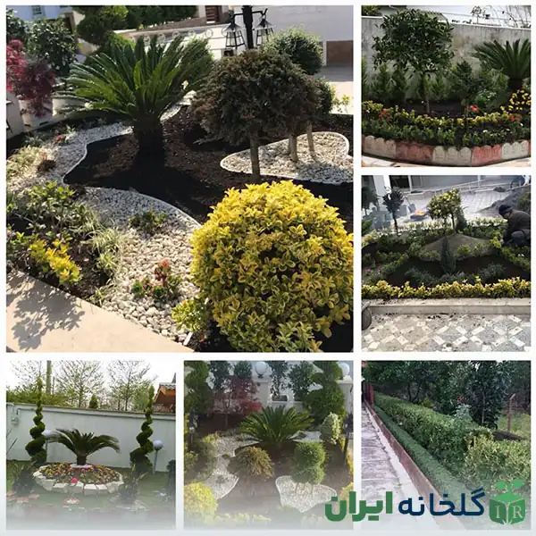 نمونه کار محوطه سازی گلخانه ایران