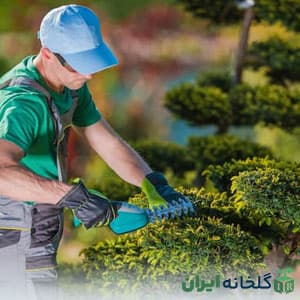 نگهداری و پرستاری باغ و ویلا