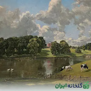 چشم انداز فرهنگی