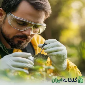بوم‌شناسی منظره لنداسکیپ