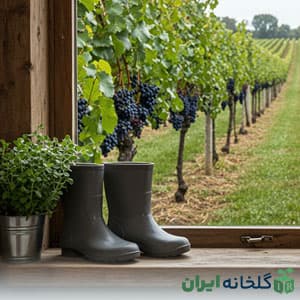 محوطه سازی باغ میوه چیست