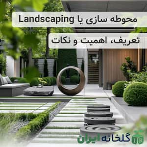 landscaping یا محوطه سازی چیست