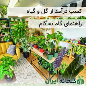 برای پرورش گل و گیاه از کجا شروع کنیم