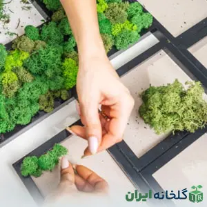 طراحی و ساخت دیوار خزه ای ماس وال