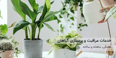 خدمات نگهداری گیاهان آپارتمانی و باغی