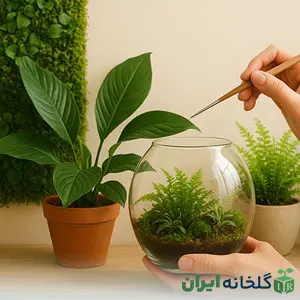 Plant decoration tutorial