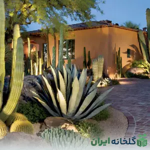 سبک محوطه سازی جنوب غرب آمریکا سبک محوطه سازی جنوب غرب آمریکا