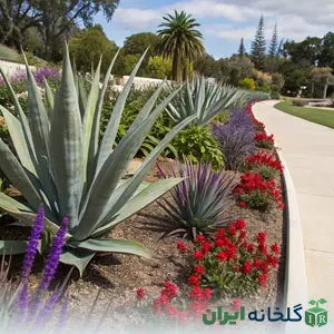 سبک محوطه سازی کالیفرنیایی سبک محوطه سازی کالیفرنیایی