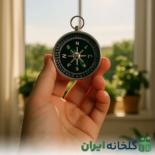 تشخیص جهت پنجره ها برای گیاهان تشخیص جهت پنجره ها برای گیاهان