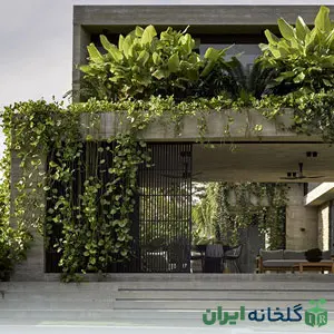 سبک محوطه سازی اکو بروتالیسم سبک محوطه سازی اکو بروتالیسم