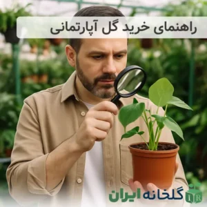راهنمای خرید گل آپارتمانی