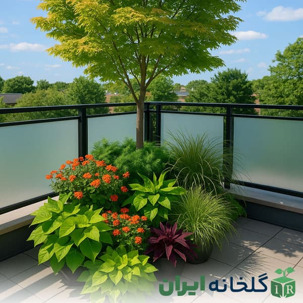 نکات بعد خرید گل و گیاه اپارتمانی نکات بعد خرید گل و گیاه اپارتمانی