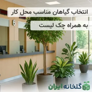 گیاهان مناسب محل کار