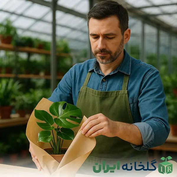نکات راهنمای خرید گیاه از گلخانه نکات راهنمای خرید گیاه از گلخانه