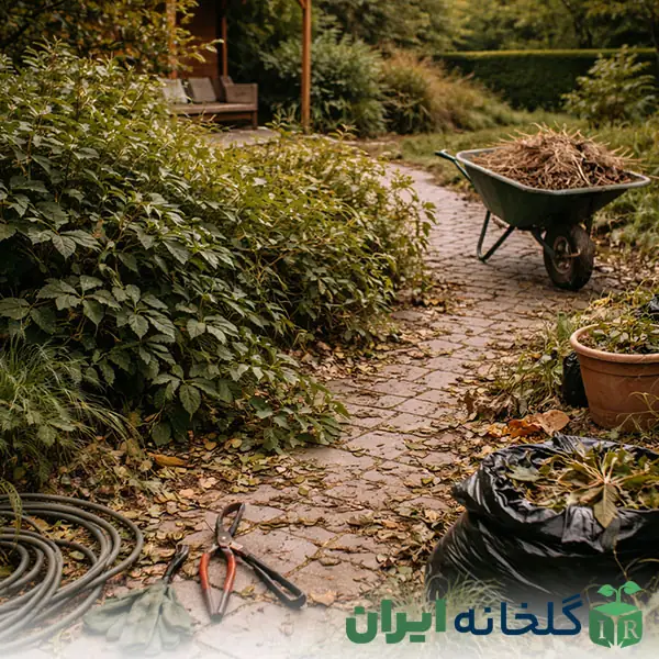 عدم مراقبت دوره ای بعد از محوطه سازی عدم مراقبت دوره ای بعد از محوطه سازی