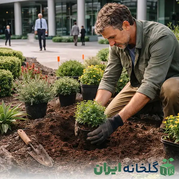 گیاهان مناسب محوطه سازی در سازمان ها گیاهان مناسب محوطه سازی در سازمان ها