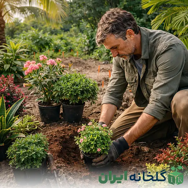 گیاهان مناسب اقلیم گرم و مرطوب ایران گیاهان مناسب اقلیم گرم و مرطوب ایران