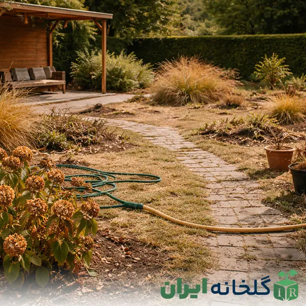 رایج ترین اشتباهات محوطه سازی رایج ترین اشتباهات محوطه سازی