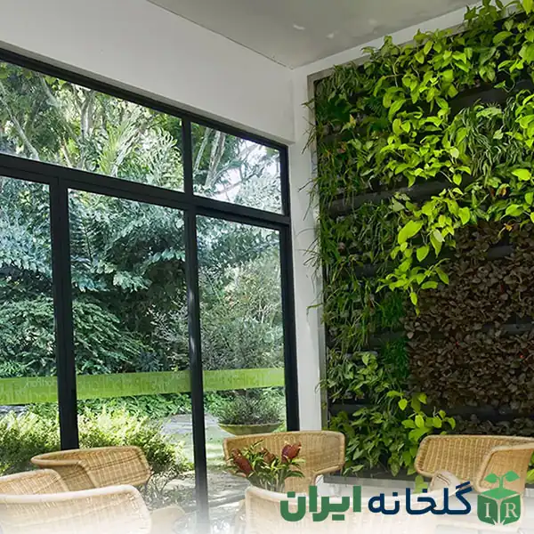خدمات طراحی و اجرای دیوار سبز گرین وال خدمات طراحی و اجرای دیوار سبز گرین وال