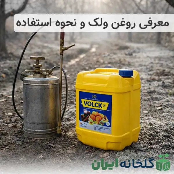 روغن ولک چیست و چگونه استفاده می شود