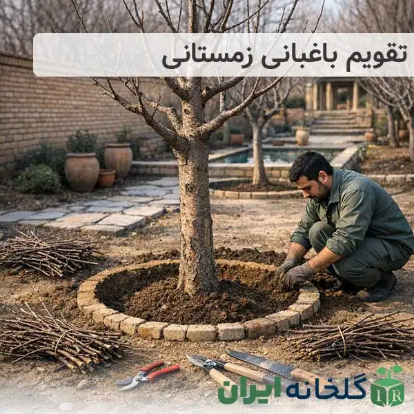 تقویم باغبانی زمستانه