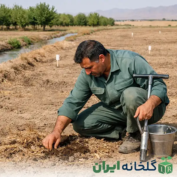 نقاط نمونه برداری خاک نقاط نمونه برداری خاک