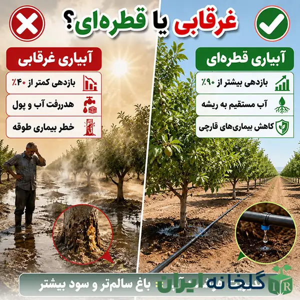 مزایای ابیاری قطره ای مزایای ابیاری قطره ای