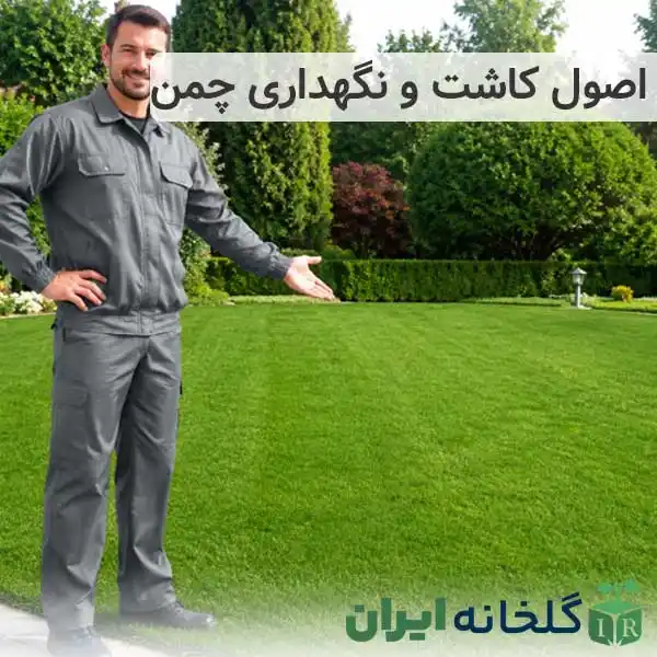 کاشت و نگهداری چمن