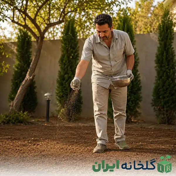 بذرپاشی برای کاشت گیاه در زمین