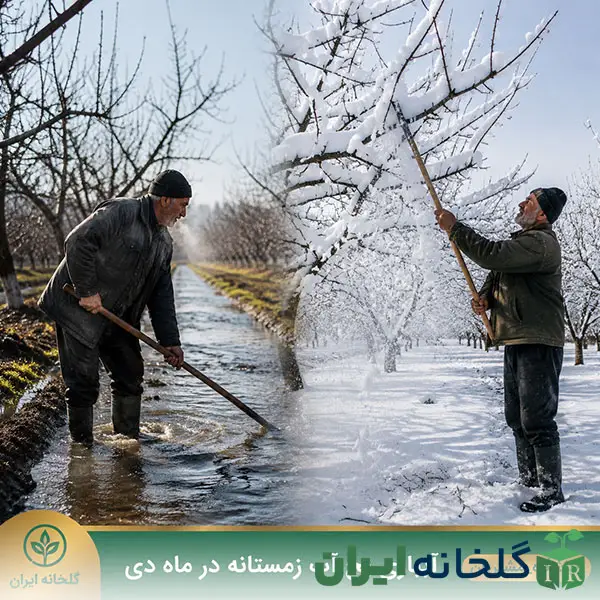 تقویم باغبانی دی ماه تقویم باغبانی دی ماه