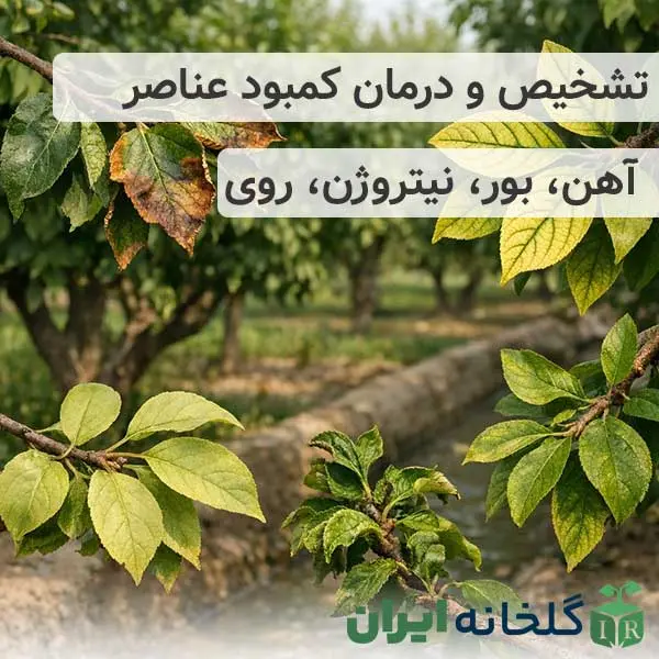 تشخیص و درمان علائم کمبود عناصر غذایی