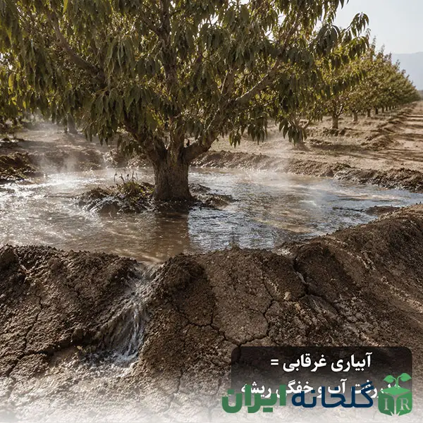 معایب آبیاری سنتی به روش غرقابی