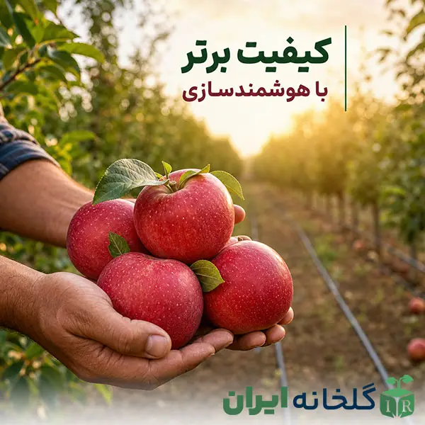 بیولوژی زمستانه درختان بیولوژی زمستانه درختان